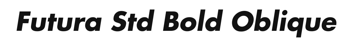 Futura Std Bold Oblique font preview