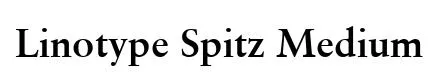 Linotype Spitz Medium