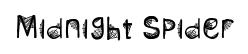 Midnight Spider
