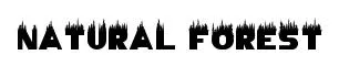 Natural Forest