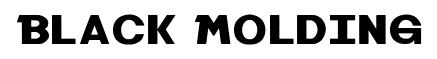 Black Molding
