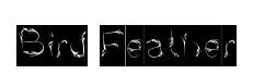 Bird Feather Inverse preview