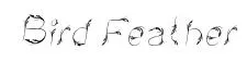 Bird Feather Italic preview