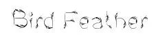 Bird Feather original font preview