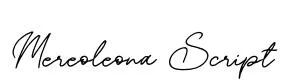 Mereoleona Script