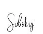 Subsky