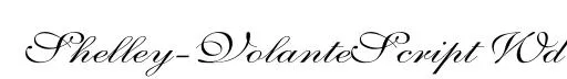 Shelley-VolanteScript Wd