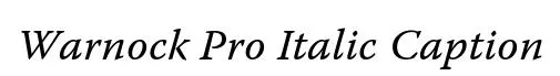 Warnock Pro Italic Caption