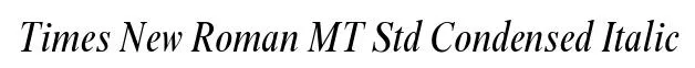 Times New Roman MT Std Condensed Italic