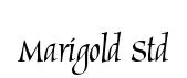 Marigold Std