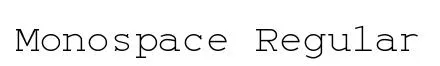 Monospace Regular