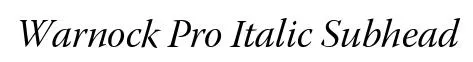 Warnock Pro Italic Subhead