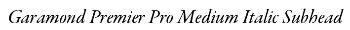 Garamond Premier Pro Medium Italic Subhead