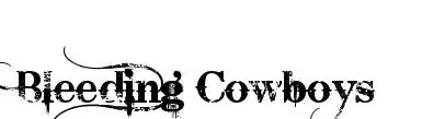 Bleeding Cowboys font preview