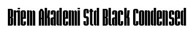 Briem Akademi Std Black Condensed