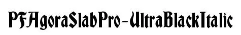 PFAgoraSlabPro-UltraBlackItalic