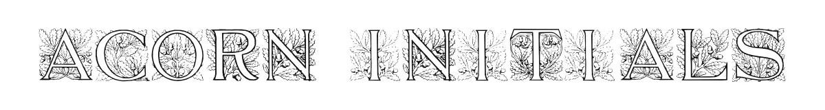 Acorn Initials font preview