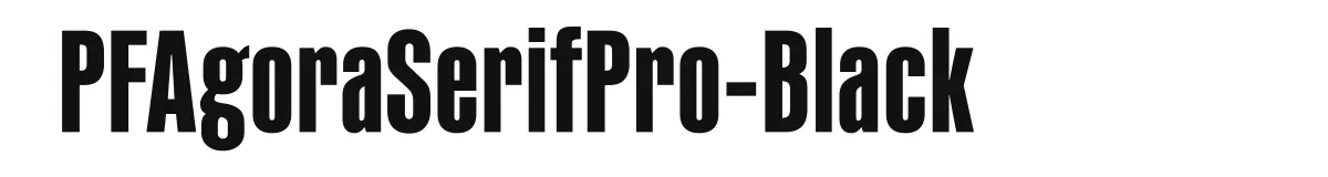 PFAgoraSerifPro-Black font preview