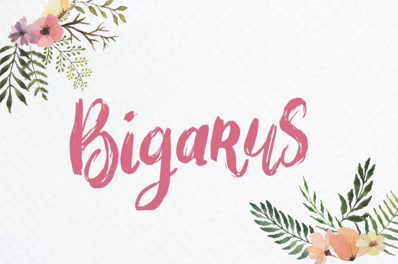 Bigarus author illustration