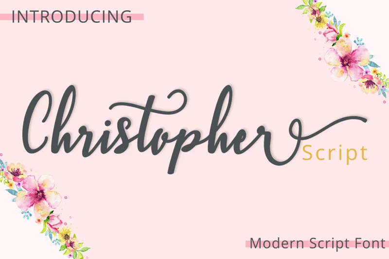 Christopher Script author illustration