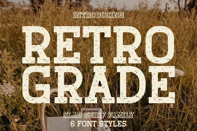 Retro Grade author illustration