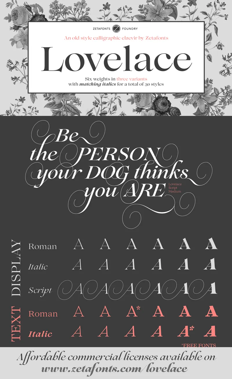 Lovelace Script author illustration