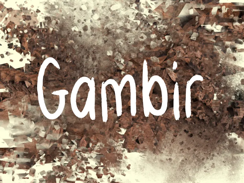 g Gambir author illustration