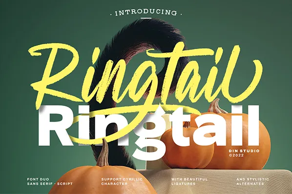 Ringtail Sans Serif author illustration