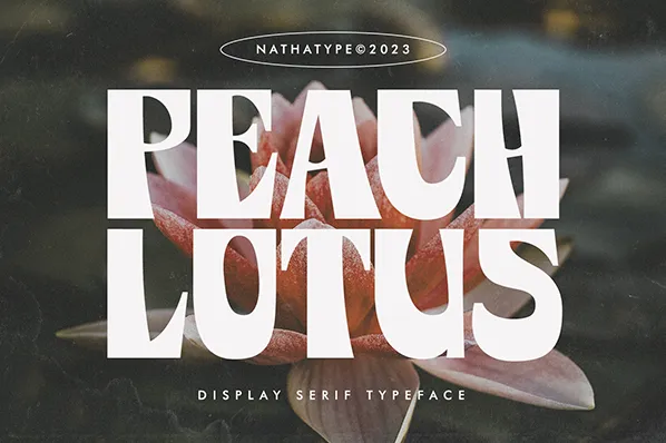 Peach Lotus author illustration