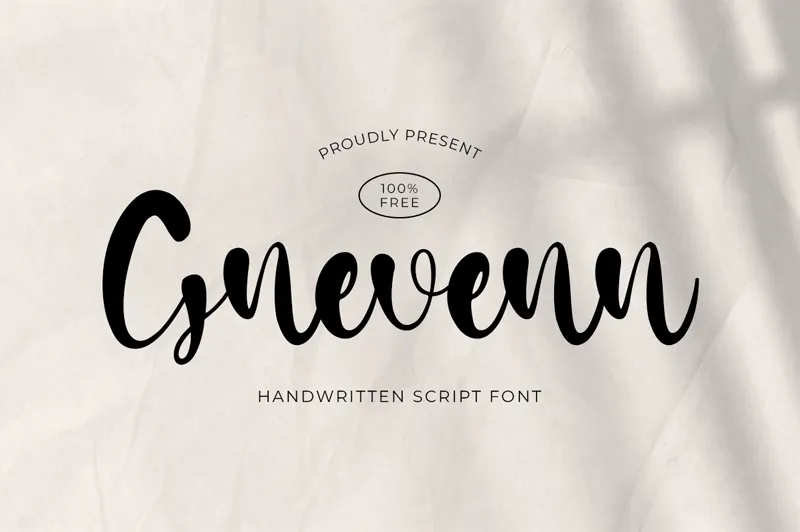 Gnevenn author illustration