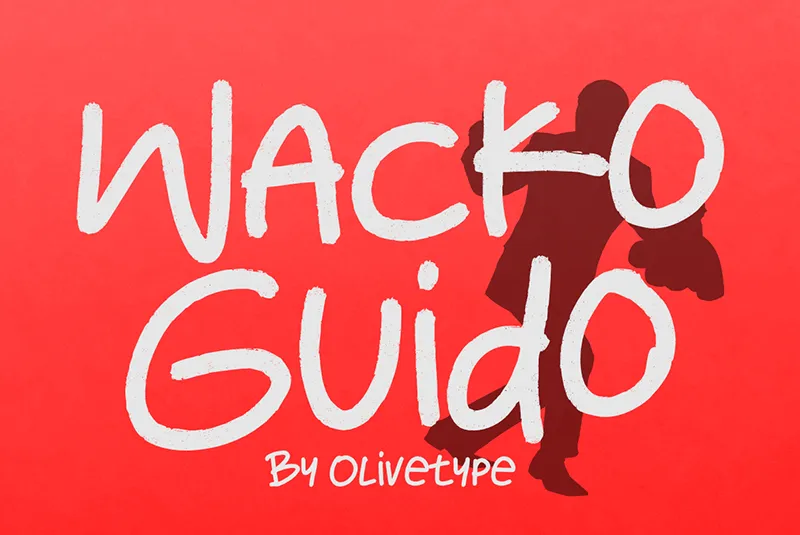 Wacko Guido author illustration