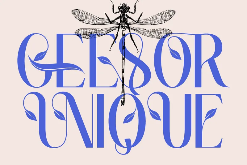 Geesor Unique author illustration