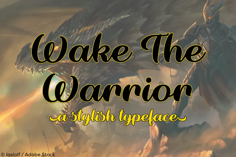 Wake The Warrior author illustration