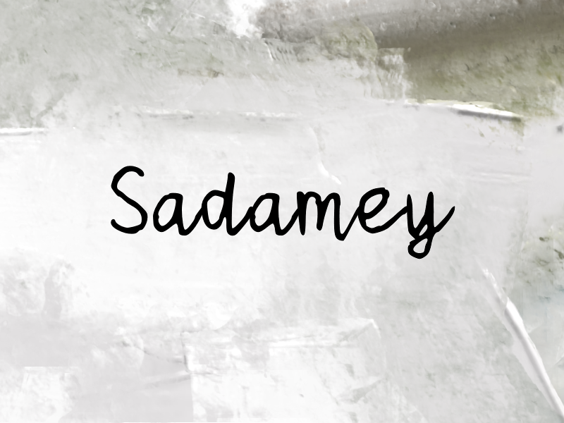 Sadamey author illustration