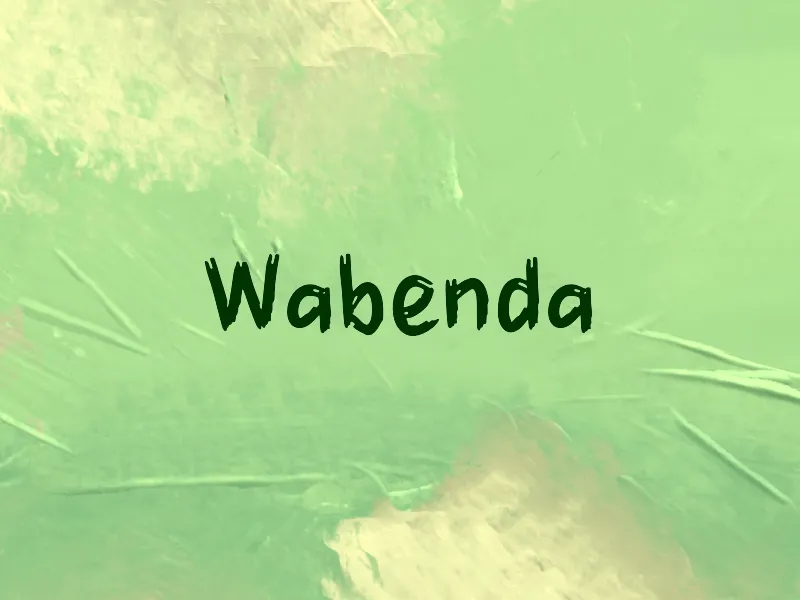 Wabenda author illustration