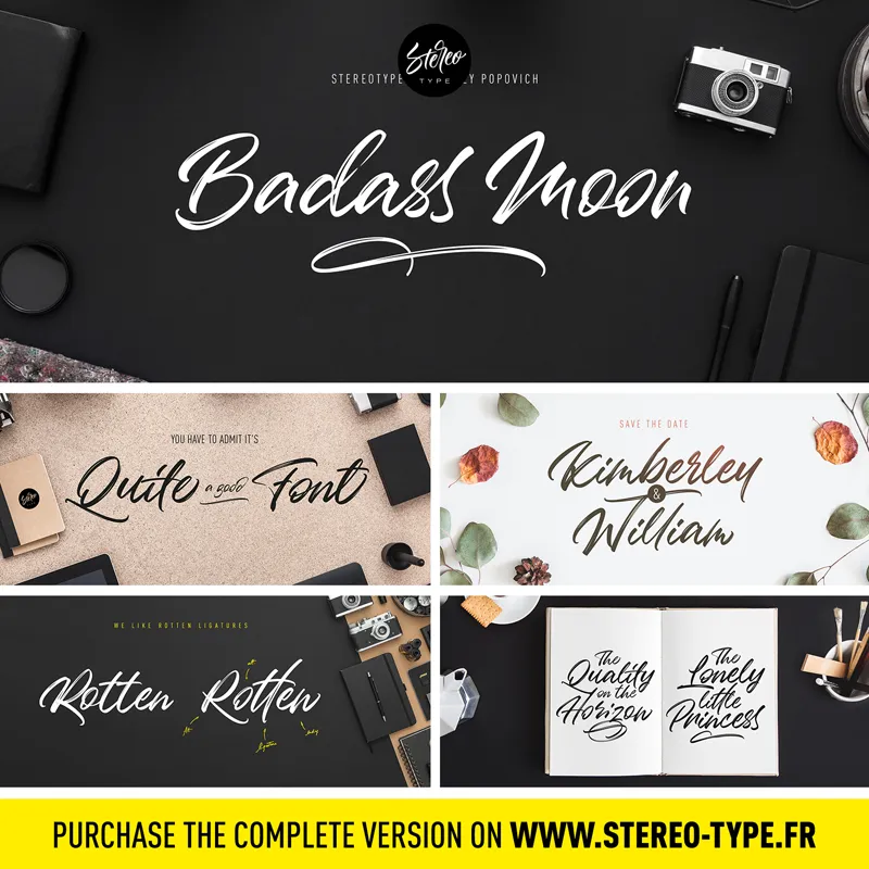 Badass Moon author illustration