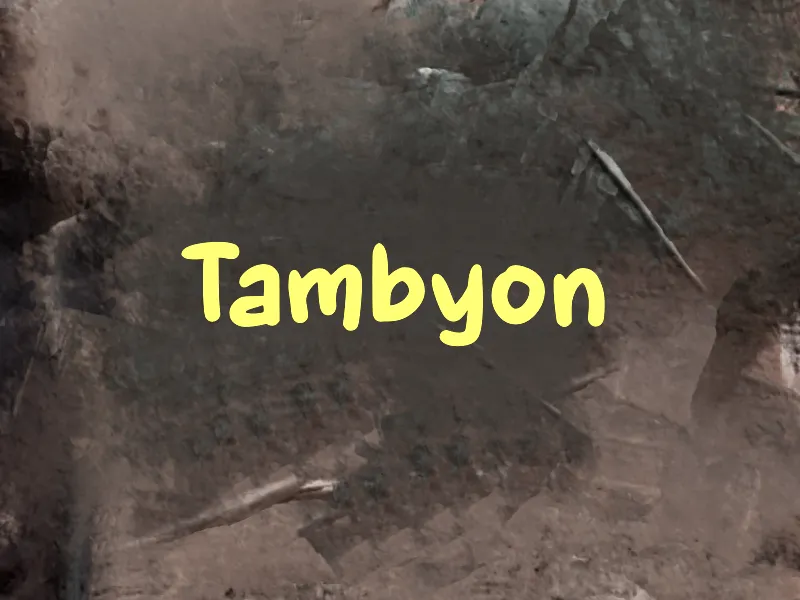 Tambyon author illustration