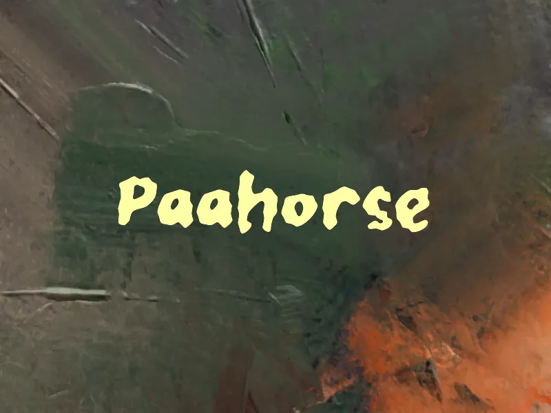 Paahorse author illustration