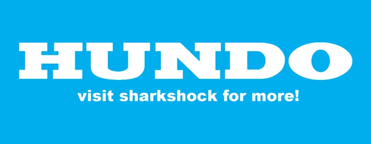 Hundo author illustration