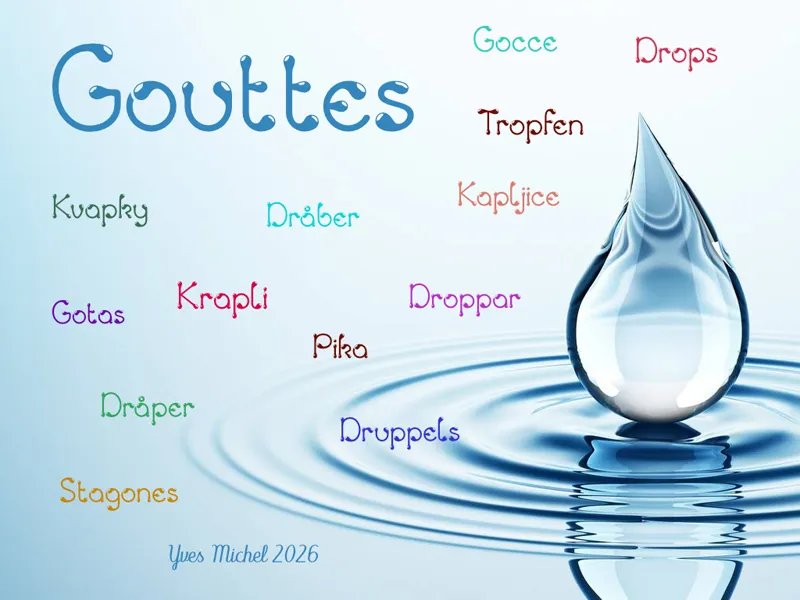 Gouttes author illustration
