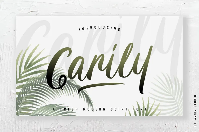 Carily author illustration