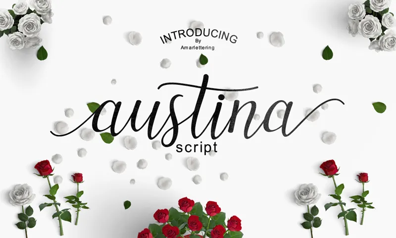Austina author illustration
