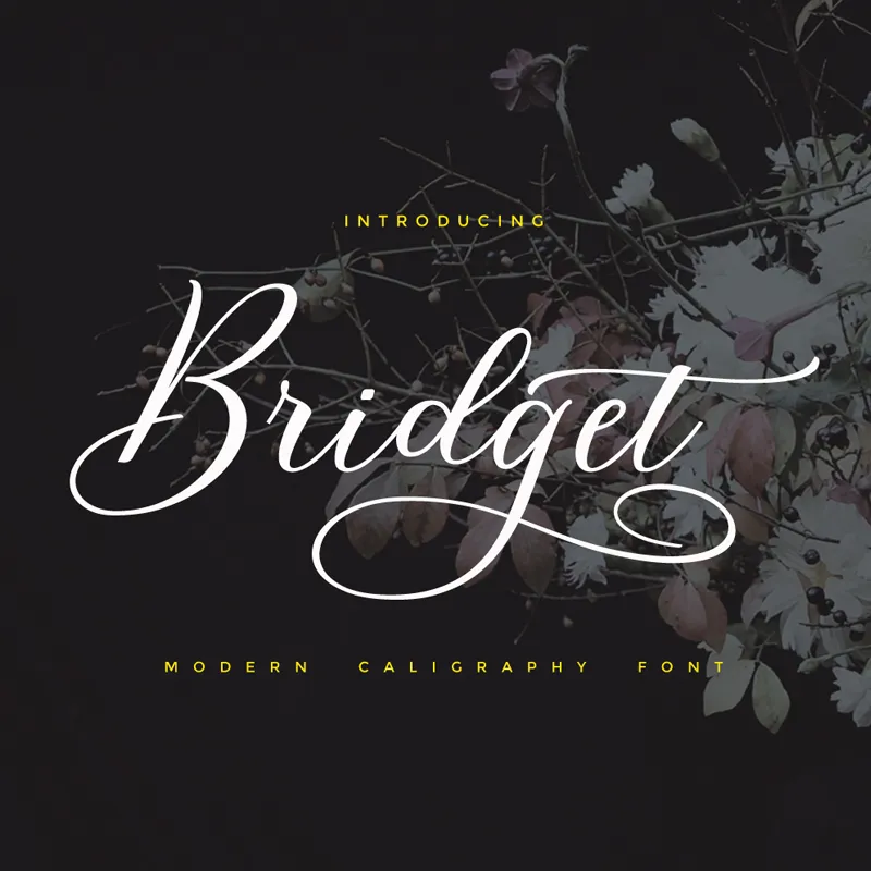 Bridget Script author illustration