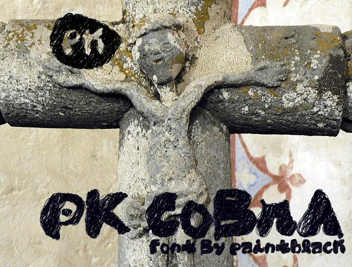 PK CoBrA author illustration