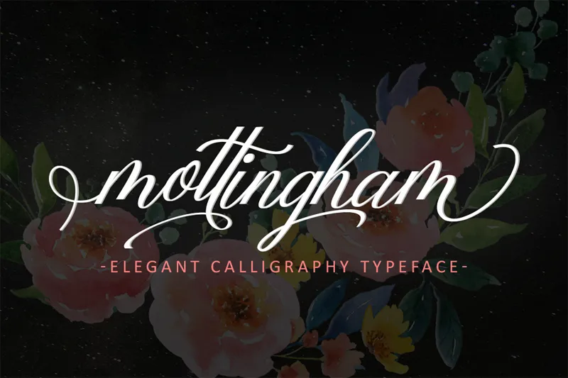 Mottingham Elegant Calligraphy author illustration