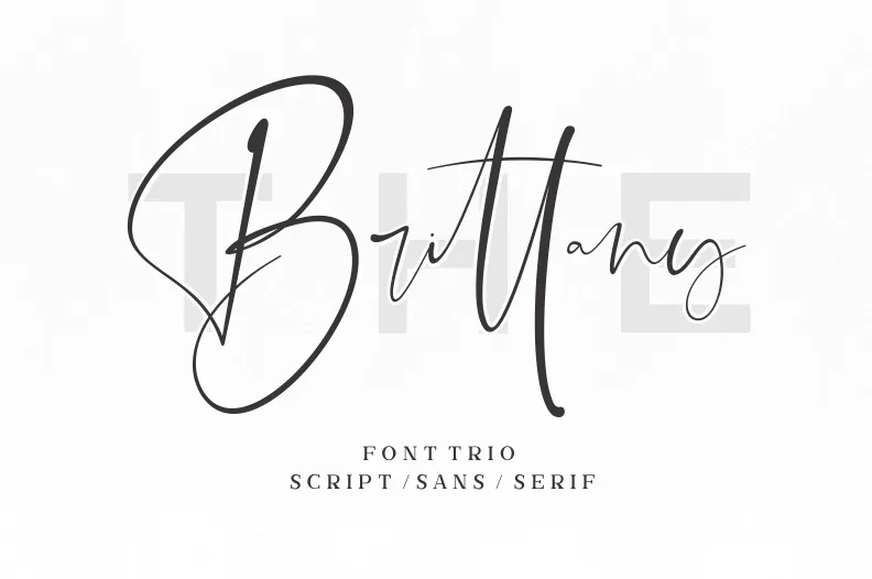 The Brittany Script author illustration