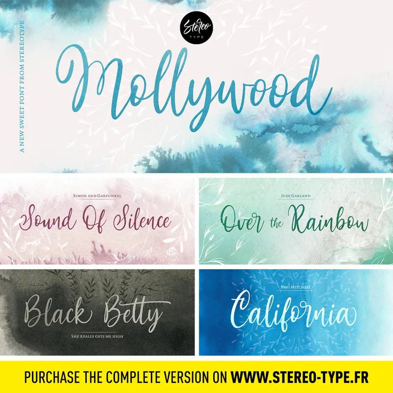 Mollywood author illustration