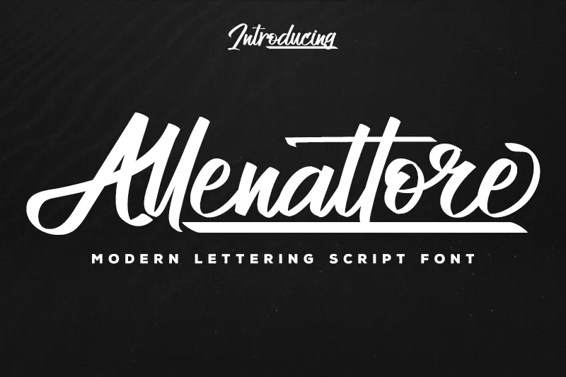 Allenattore author illustration