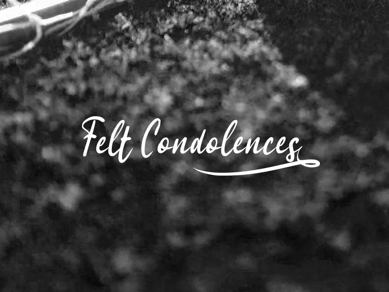 f Felt Condolences author illustration