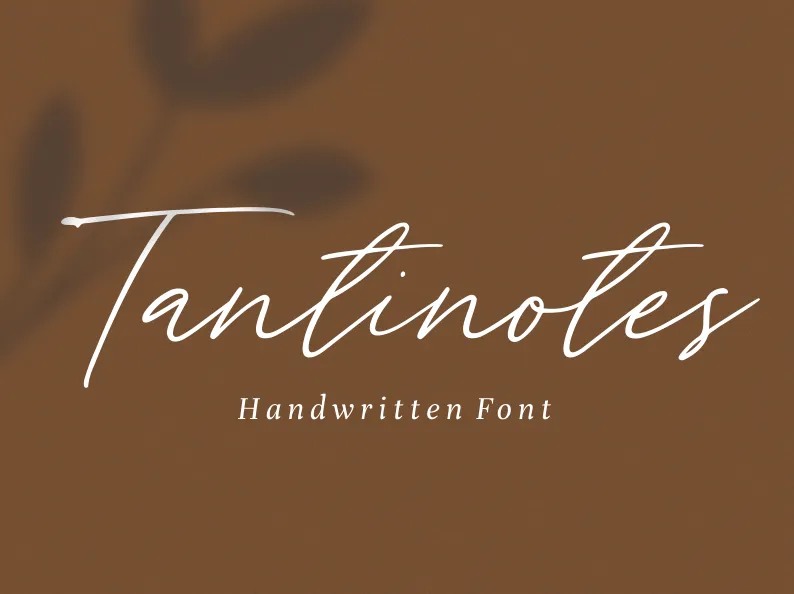 Tantinotes author illustration